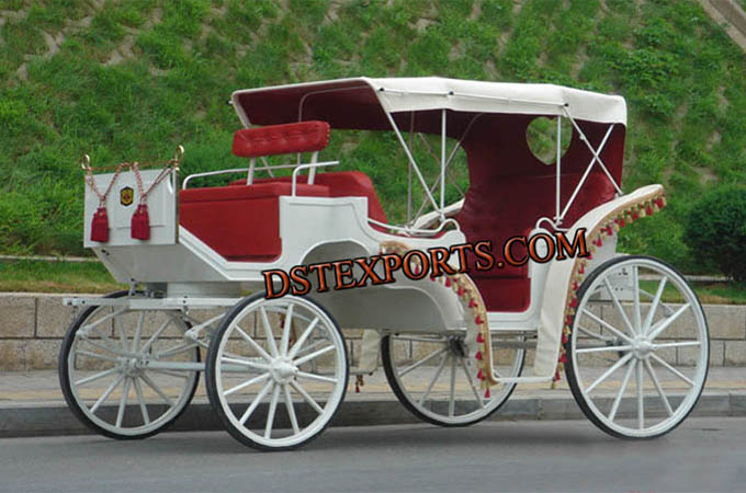 Beautiful Indian Wedding Carriages