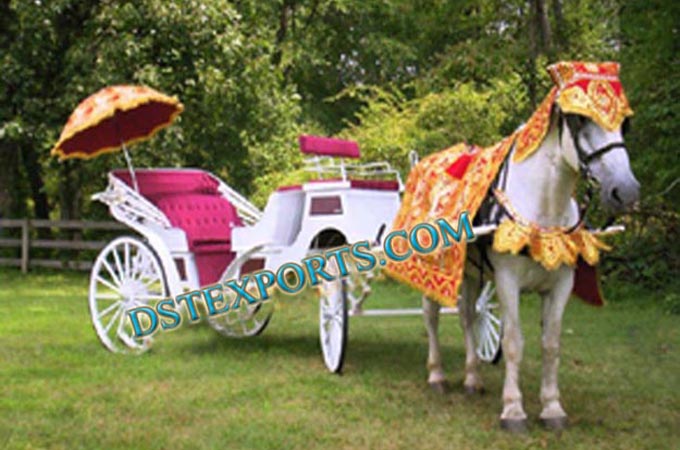 Indian Wedding Horse Carriage
