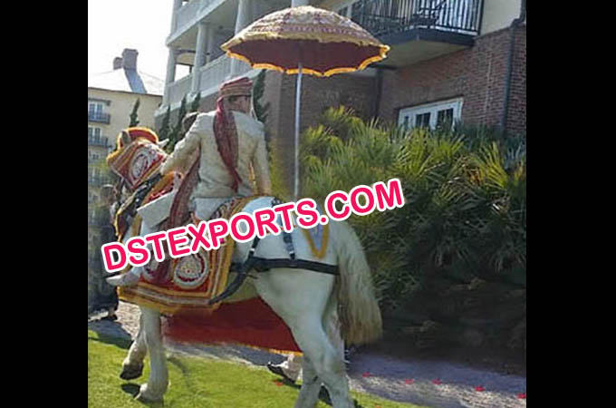 Indian Wedding Baraat Horse Dress