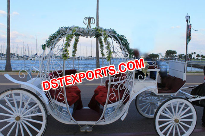 Exclusive Wedding Cinderella Horse Carriage