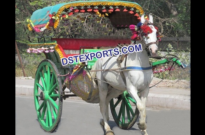 Wedding Lahori Horse Tanaga