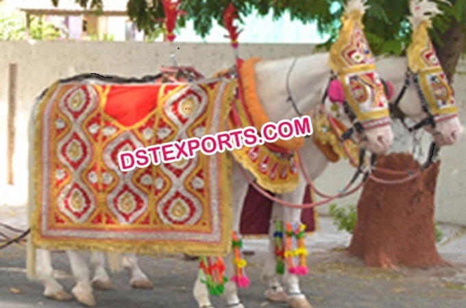 Indian Wedding Barat Horse Decoration