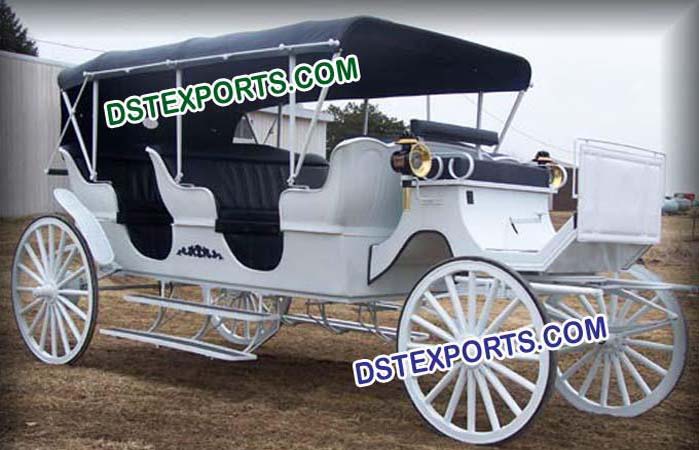Horse Drawn Limousin Buggy