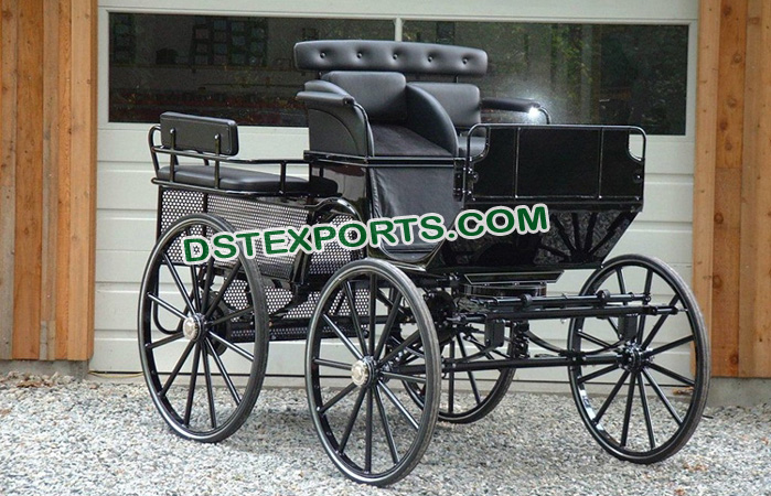 Two Seater Carriage Buggy