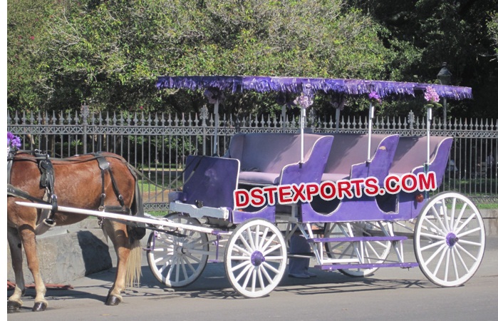 Beautiful Three Seater Limousine Carriage