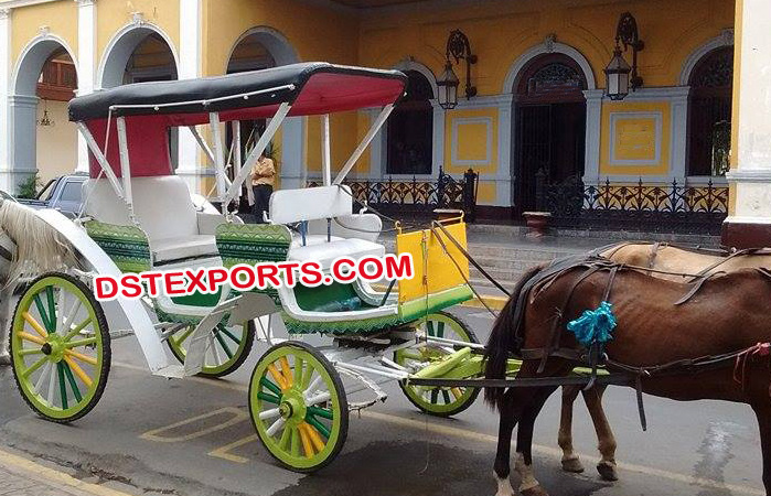 Unique Wedding Horse Drawn Carriage Buggy