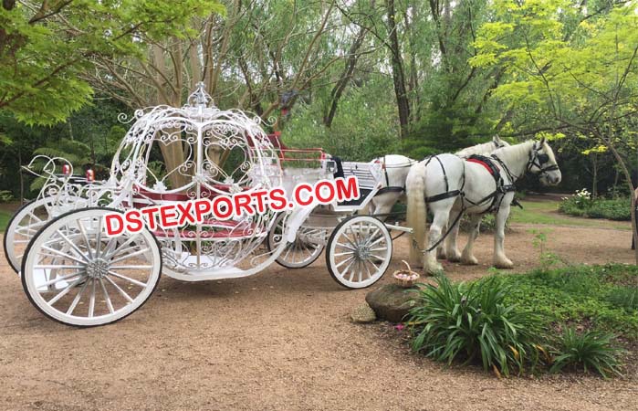 Elegant Look Cinderella Horse Carriages Buggy