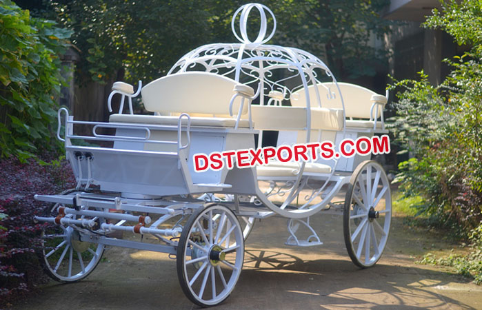 Elegant Cinderella Horse Carriage Buggy