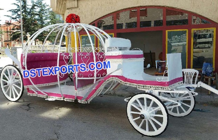 Designer Cinderella Horse Carriage Buggy