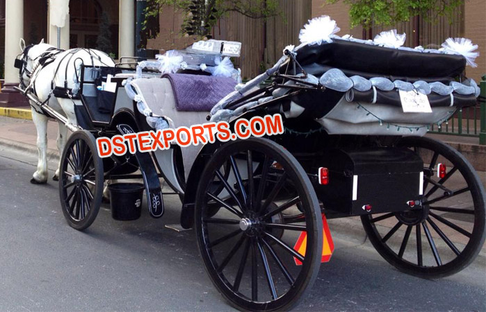 Black Victoria Horse Buggy Carriage
