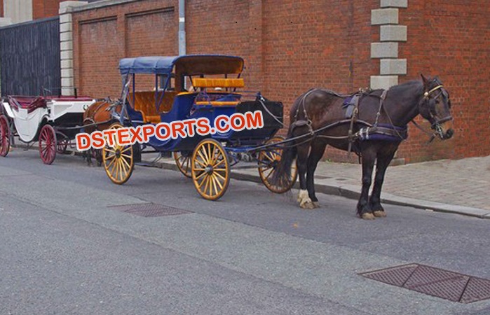 Beautiful Victoria Horse Carriage