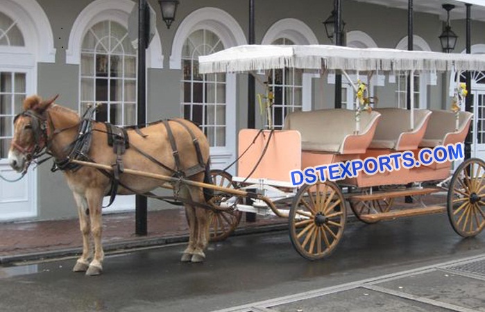 Horse Drawn Limousine Buggy Carriage