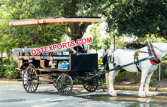 Long Limousine Horse Drawn Carriage