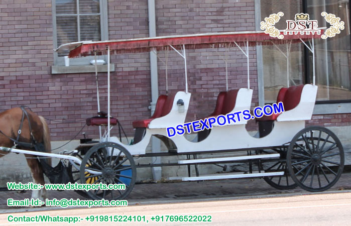 Latest Three Seater Limousine Carriage