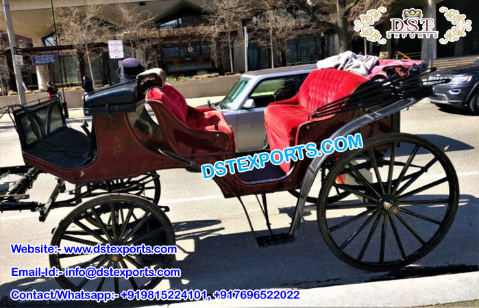 Russian Victoria Horse Drawn Buggy