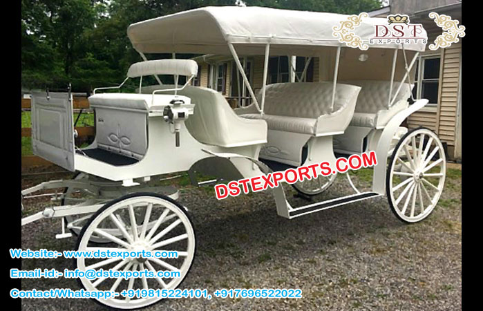Vis A Vis Limo Horse DRawn Carriage