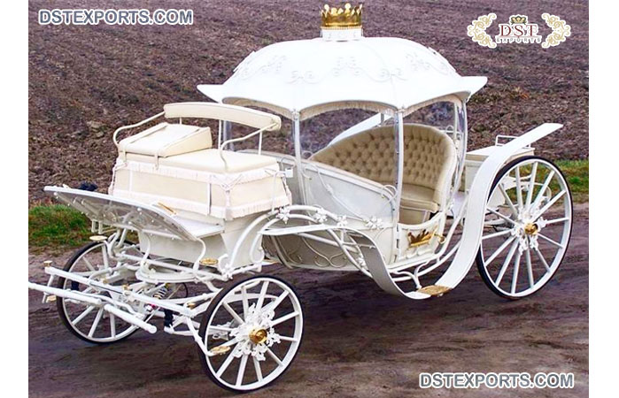 Cinderella Hooded Phaeton Horse Carriage