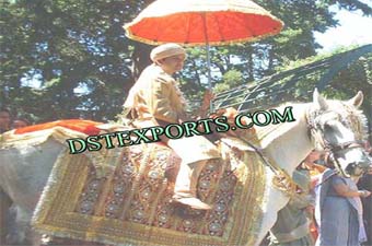 Indian Wedding Processions