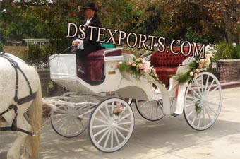 Indian Wedding Flower Horse Carriage