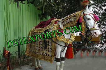 Wedding Embroidered Ghodi Costumes