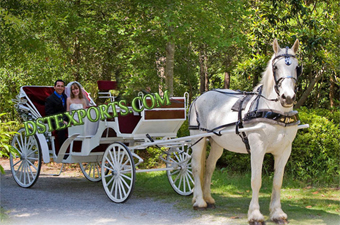 Victoria White Horse Drawn Carriages