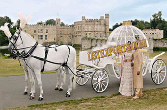 Love Marriage Cinderella Horse Carriage