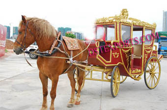 Wedding Royal Horse Drawn Cart