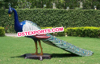 Fiber Peacock Theme Decoration