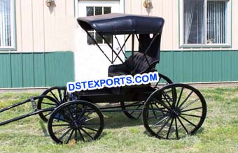 Two Seater Horse Carriage