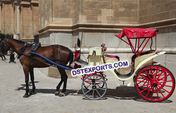 Stylish Horse Carriage