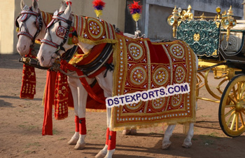 Indian Wedding Horse Wear Dress
