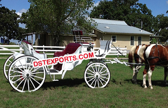 Two Seater Horse Carriage For Hotel Tour