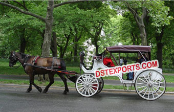 Beautiful Horse Drawn Coaches Carriages