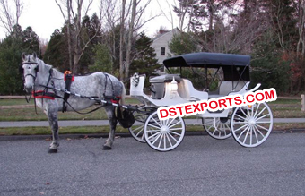 Victoria Horse Buggy For Sale