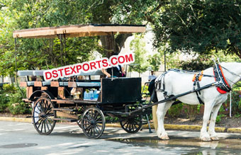 Long Limousine Horse Drawn Carriage