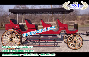 Beautiful Limousine Horse Drawn Buggy Carriages