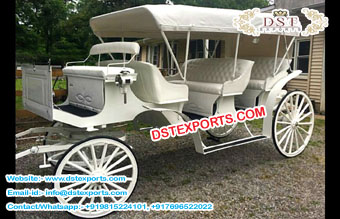 Vis A Vis Limo Horse DRawn Carriage