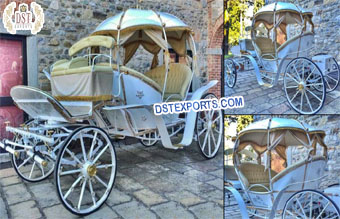 Wedding Cinderella Horse Carriage Brisbane