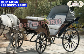 Black Victoria Touring Carriage and Chariot