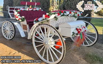 Perfect Wedding Carriage in Vis A Vis Design