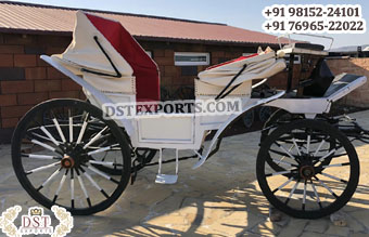 Stylish Double Hooded Vis-A-Vis Horse Carriage