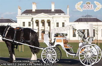 Latest Wedding Horse Drawn Vis a Vis Carriage