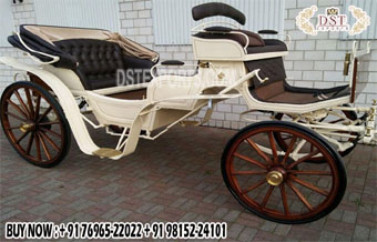 Elegant White Convertible Hooded Horse Carriages