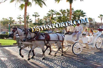 Latest Double Horse Victoria Carriages