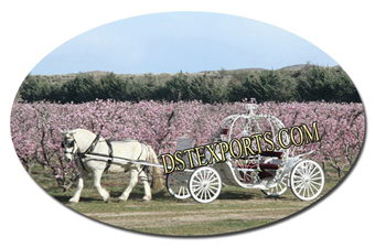 New Spring Field Cinderella Carriages