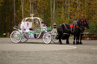 Bride Touring Cinderella Horse Carriages