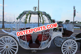 Exclusive Wedding Cinderella Horse Carriage