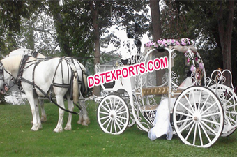 Wedding Cinderella Horse Drawn Carriage