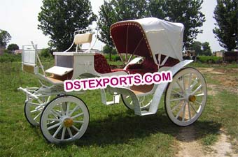 Indian Wedding Two Seater Horse Carriage