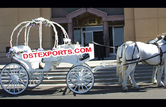 Beautiful Wedding Cinderella Horse Carriage